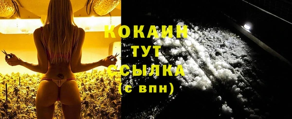 2c-b Богородицк